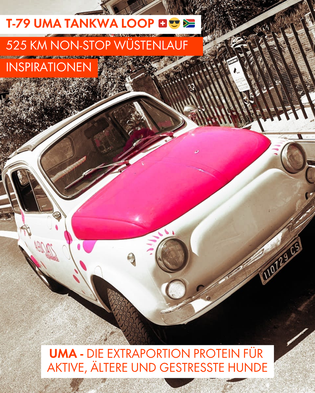 T-79 UMA Tankwa Loop 🇨🇭 😎 🇿🇦