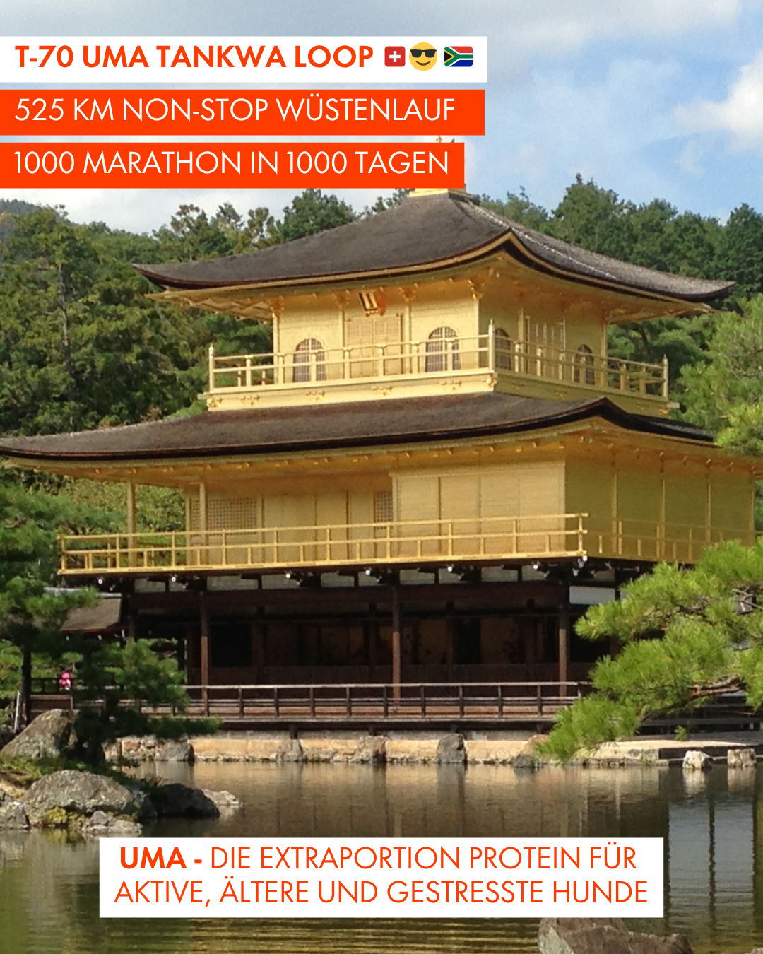 T-70 UMA Tankwa Loop 🇨🇭 😎 🇿🇦