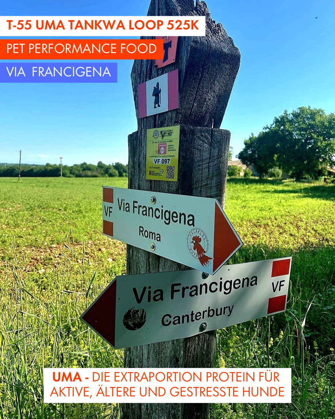 T-55 UMA Tankwa Loop 🇨🇭 😎 🇿🇦