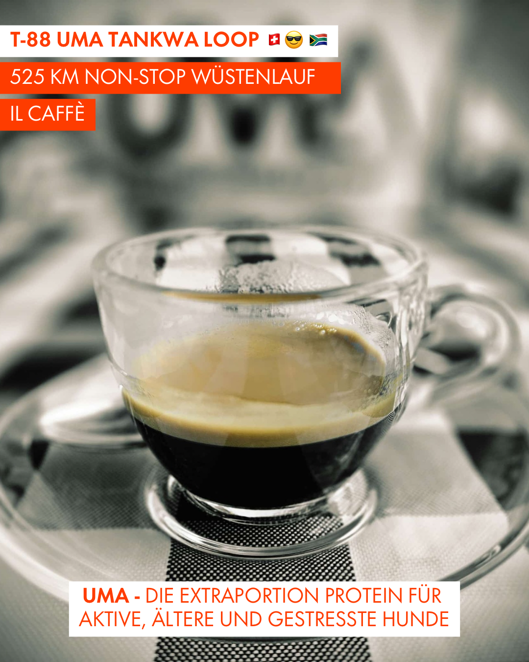 T-88 UMA Tankwa Loop 🇨🇭 😎 🇿🇦