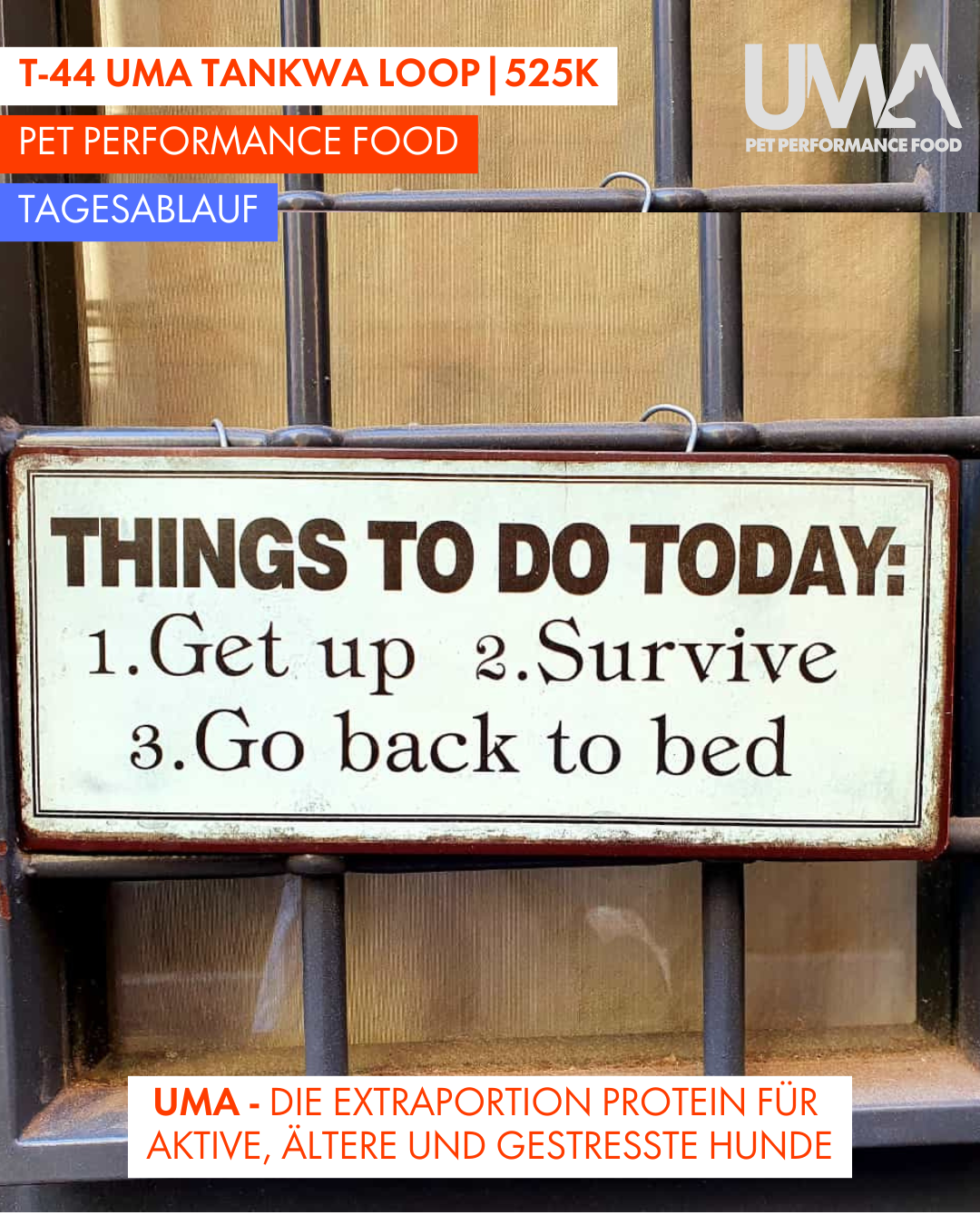 T-44 UMA Tankwa Loop 🇨🇭 😎 🇿🇦